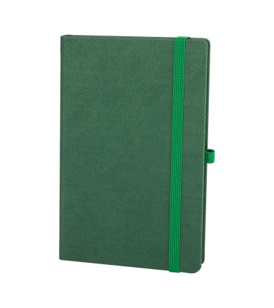 DIŞKAPI YEŞİL TARİHSİZ DEFTER (13X21 CM) DIŞKAPI YEŞİL TARİHSİZ DEFTER (13X21 CM)