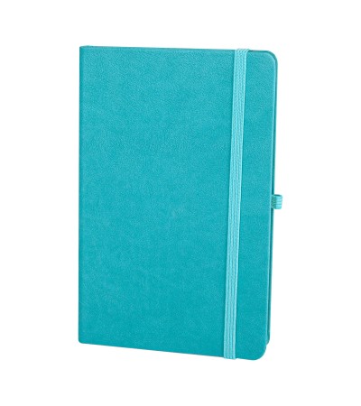 DIŞKAPI TURKUAZ TARİHSİZ DEFTER (13X21 CM) DIŞKAPI TURKUAZ TARİHSİZ DEFTER (13X21 CM)