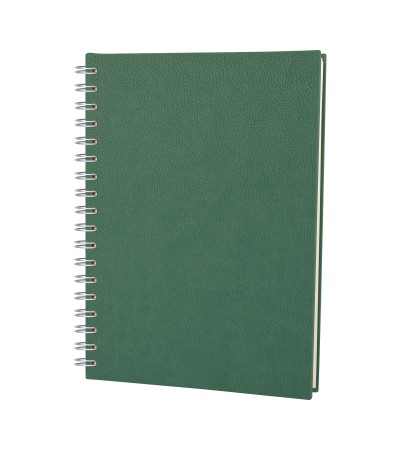 ALTINDAĞ YEŞİL KARELİ SPİRALLİ TARİHSİZ DEFTER (17X24 CM) ALTINDAĞ YEŞİL KARELİ SPİRALLİ TARİHSİZ DEFTER (17X24 CM)