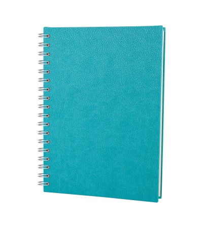 ALTINDAĞ TURKUAZ KARELİ SPİRALLİ TARİHSİZ DEFTER (17X24 CM) ALTINDAĞ TURKUAZ KARELİ SPİRALLİ TARİHSİZ DEFTER (17X24 CM)